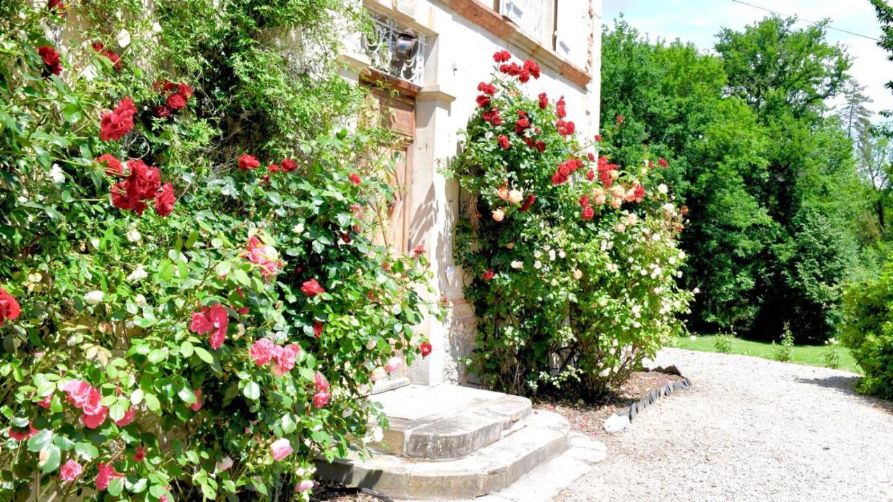 Chateau De Belespy La Bastide-de-Besplas Luaran gambar